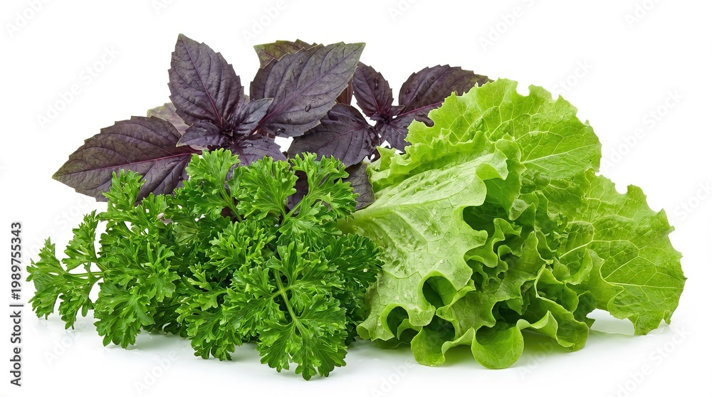 Organic Greens Box